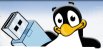 Pendrive Linux install